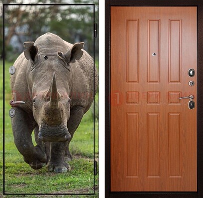 Металлическая дверь с фотопечатью носорога ДФ-31 в Лыткарино