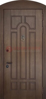Коричневая стальная дверь с виноритом в форме арки ДВТ-237 в Лыткарино